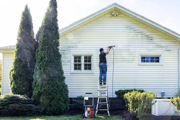 Best Best Pressure Washing Companies  in Clayton, AL