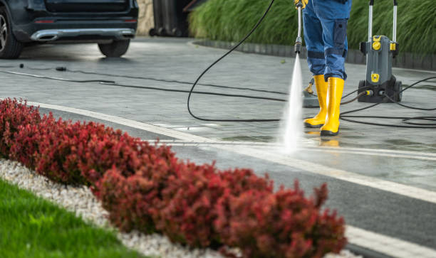 Best Affordable Pressure Washing  in Clayton, AL